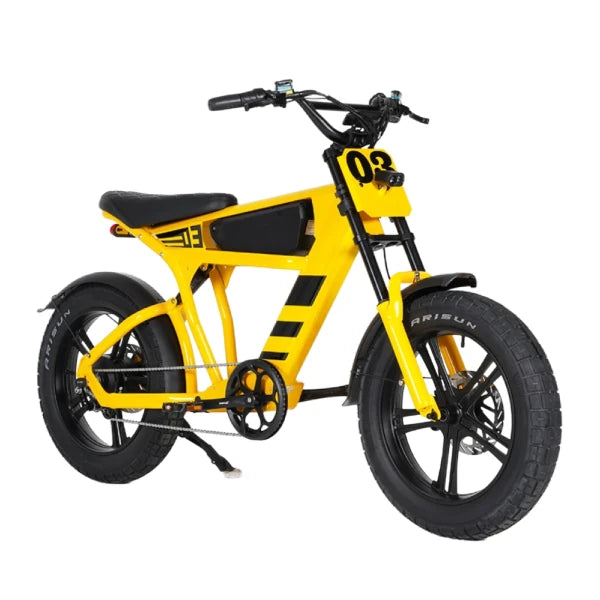 Bike Elétrica FT03 1000W