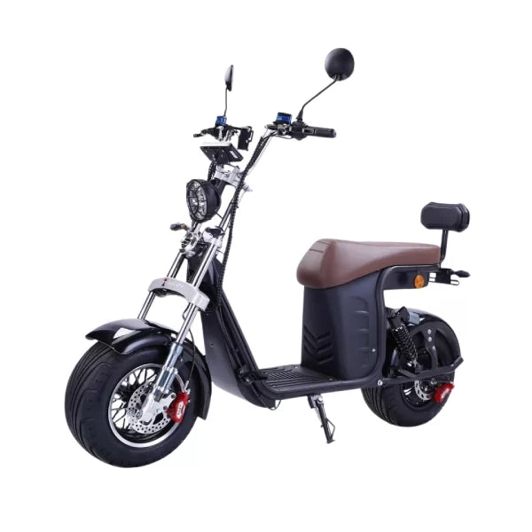 Scooter Elétrica R13 1000W